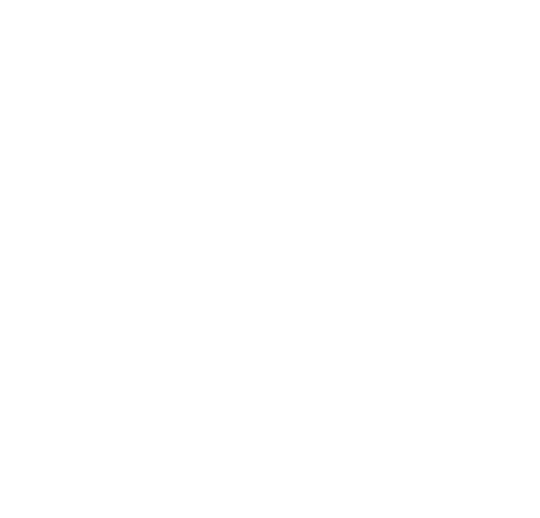 Hôtel Du Lion D'or